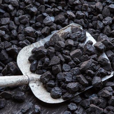 قیمت زغالسنگ باز هم منفی/ فولاد و سنگ آهن سبز پوش